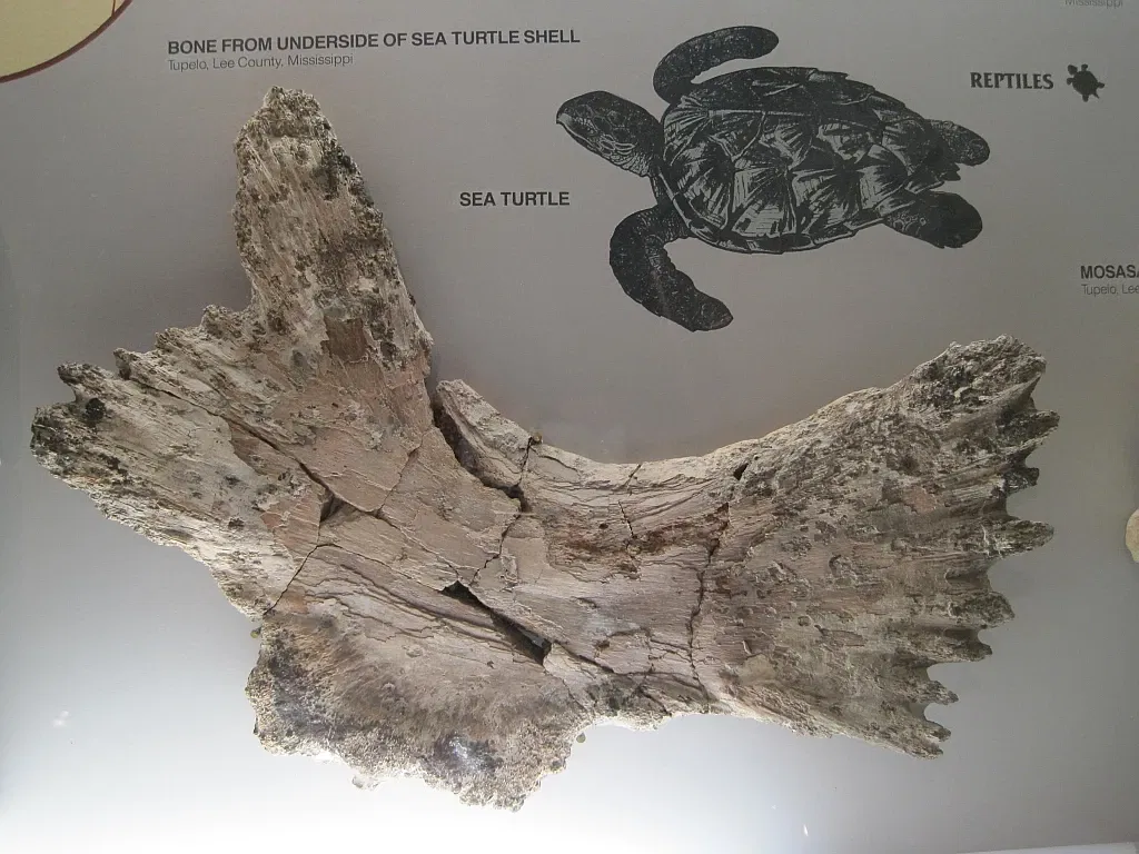 Memphis Museum of Science & History