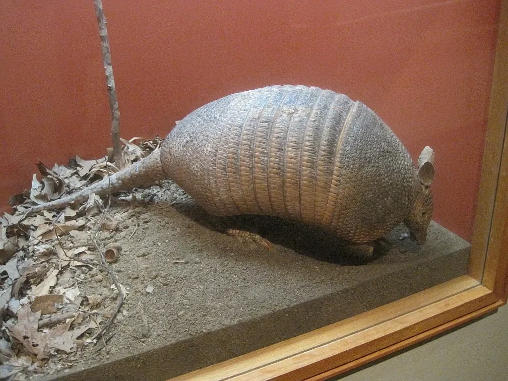 Memphis Museum of Science & History