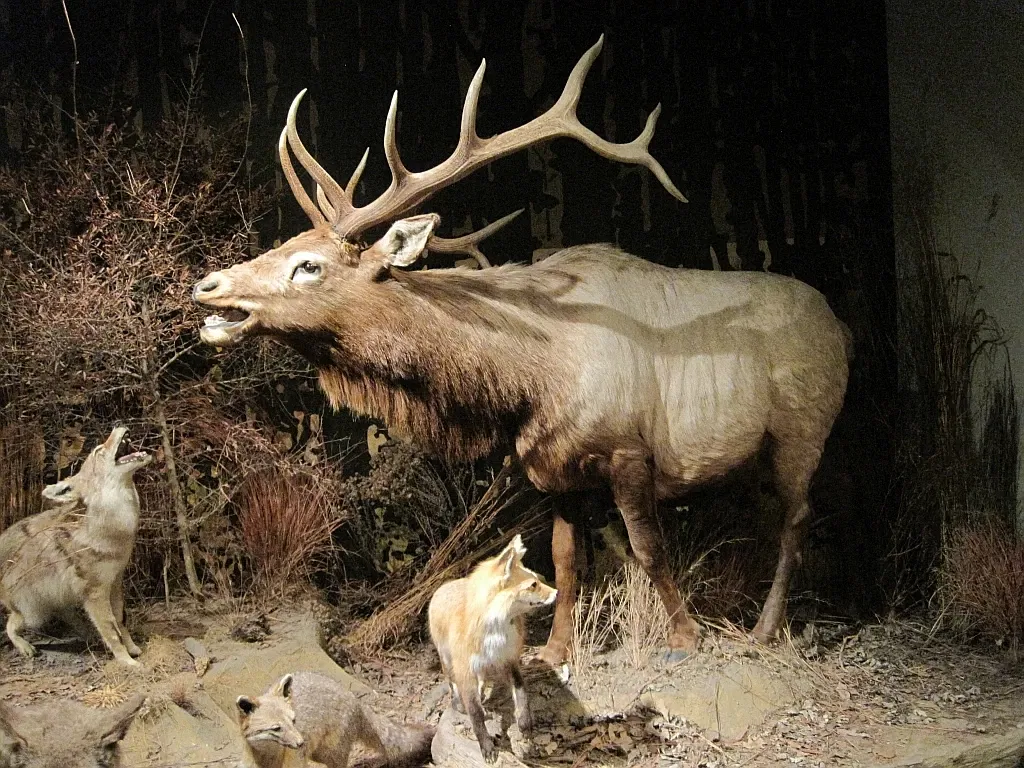 Memphis Museum of Science & History