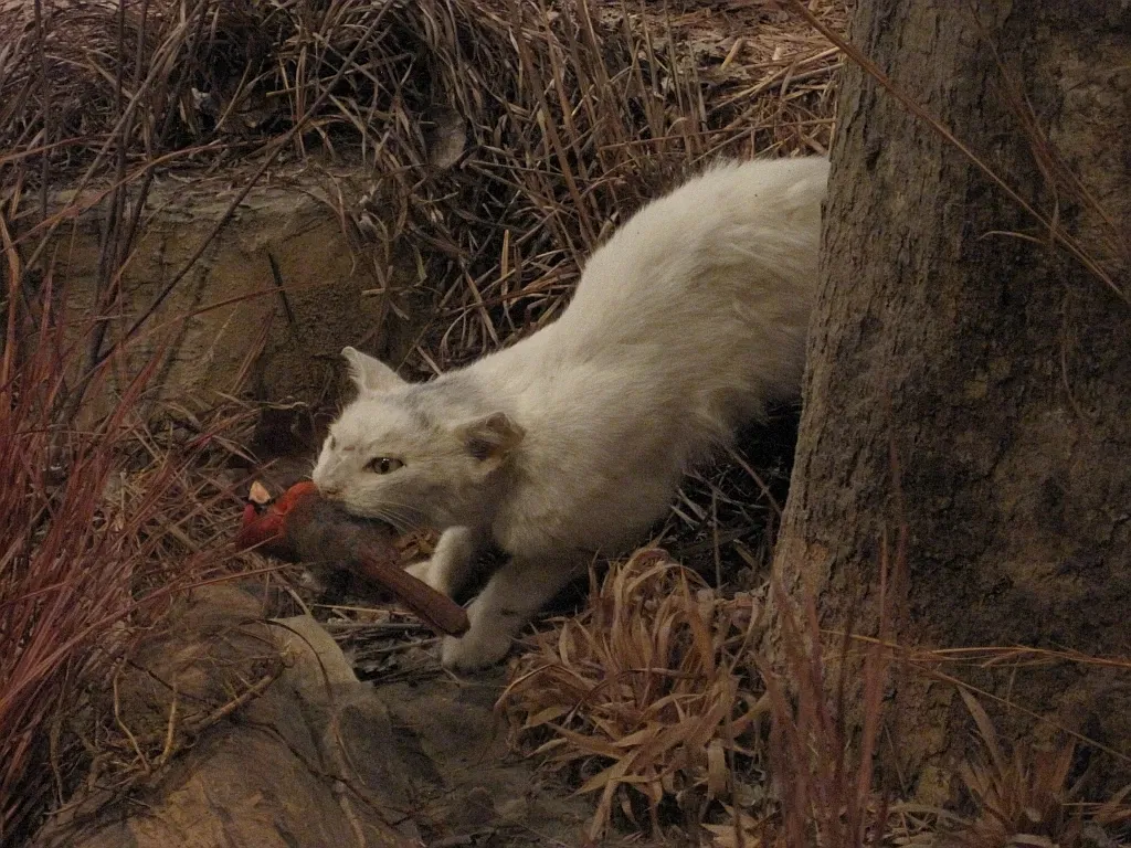 Memphis Museum of Science & History
