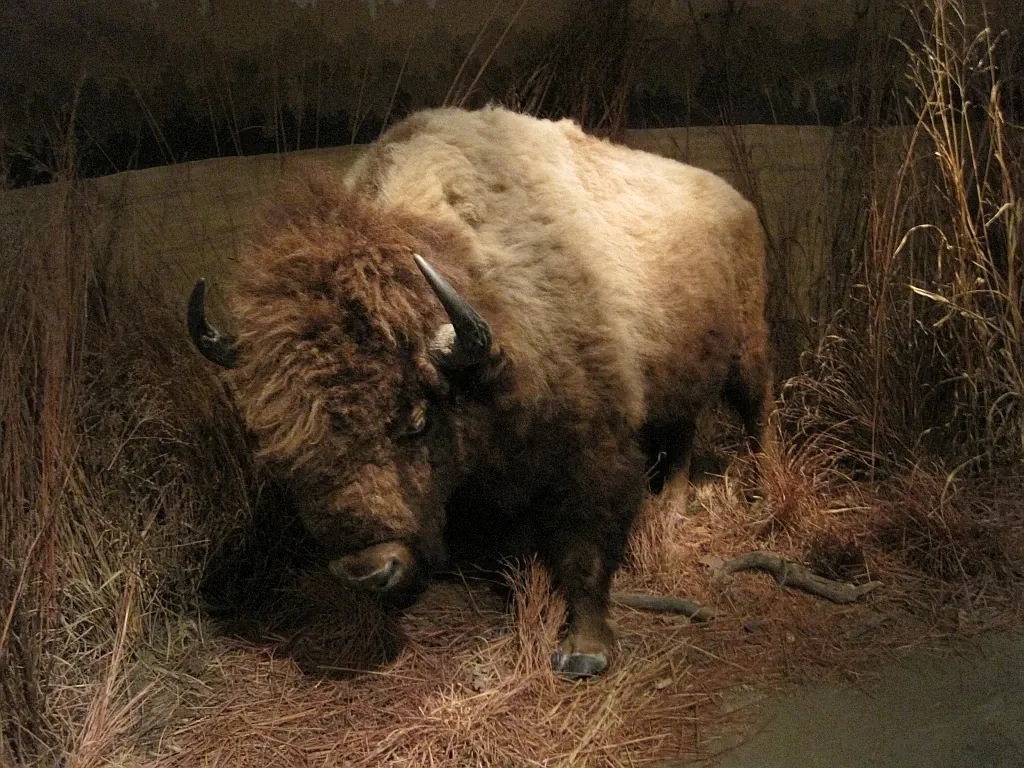 Memphis Museum of Science & History