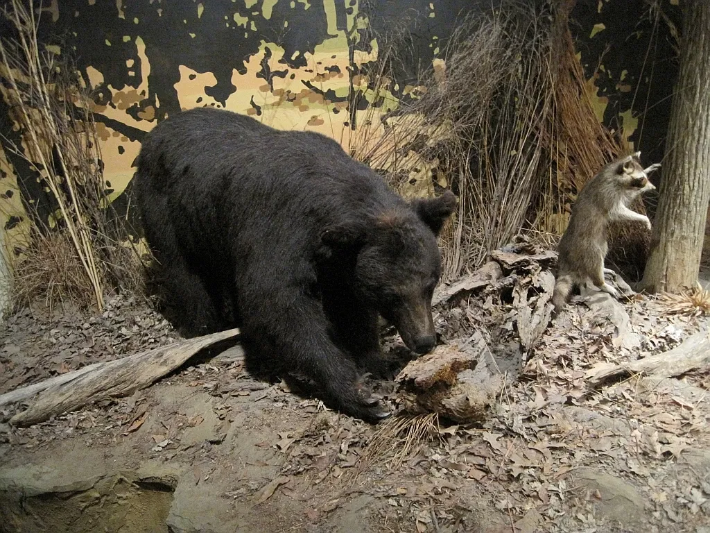 Memphis Museum of Science & History