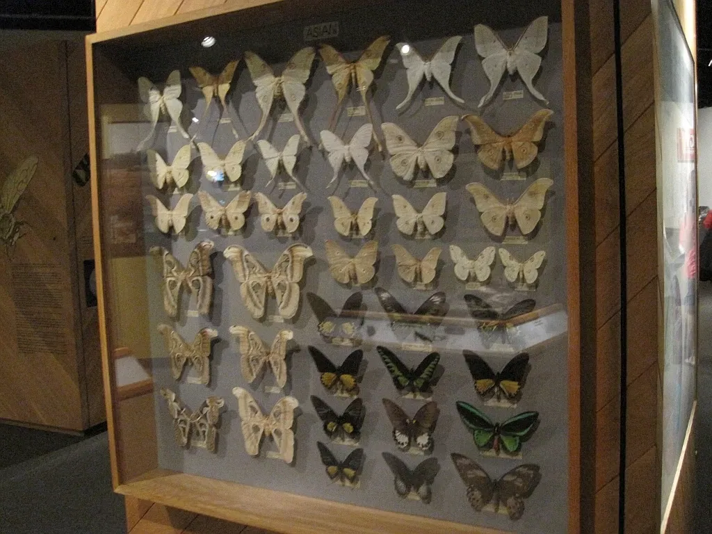 Memphis Museum of Science & History