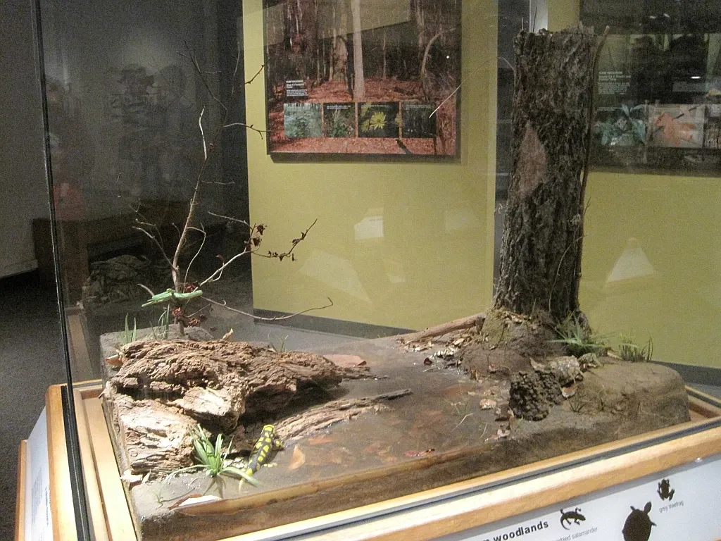 Memphis Museum of Science & History