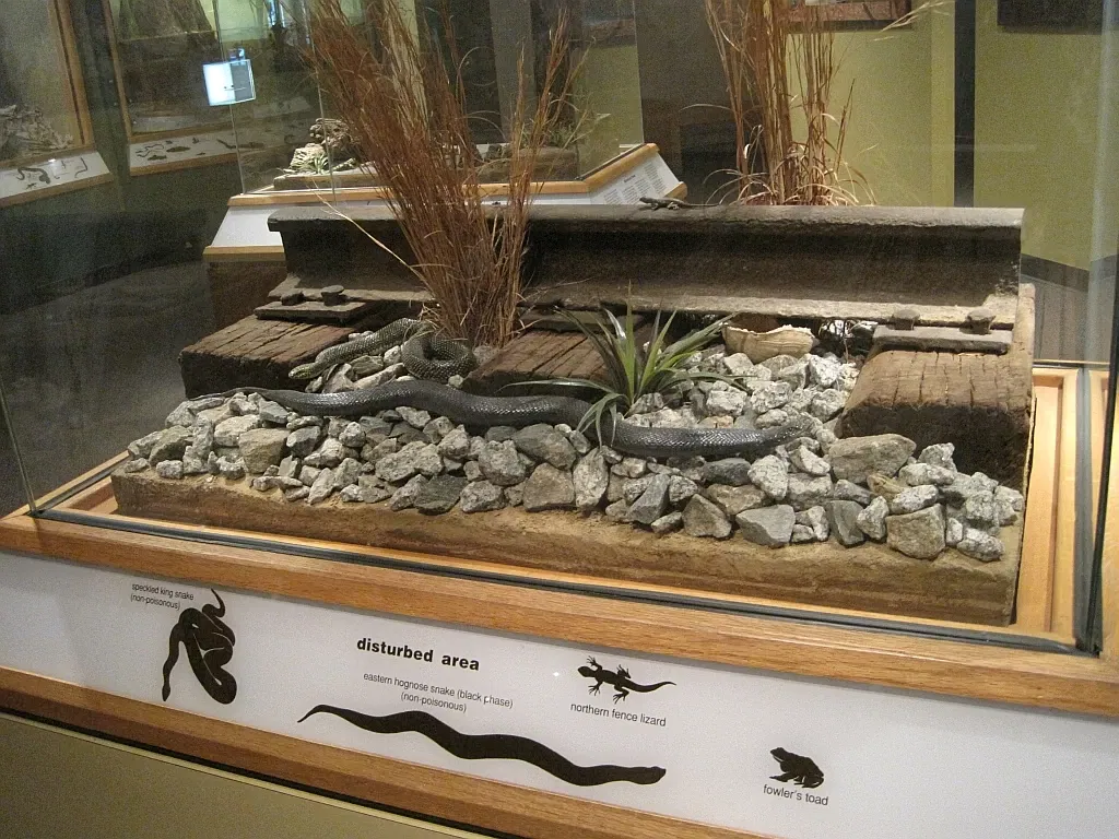 Memphis Museum of Science & History