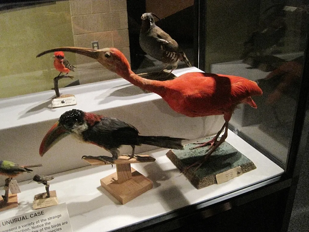 Memphis Museum of Science & History