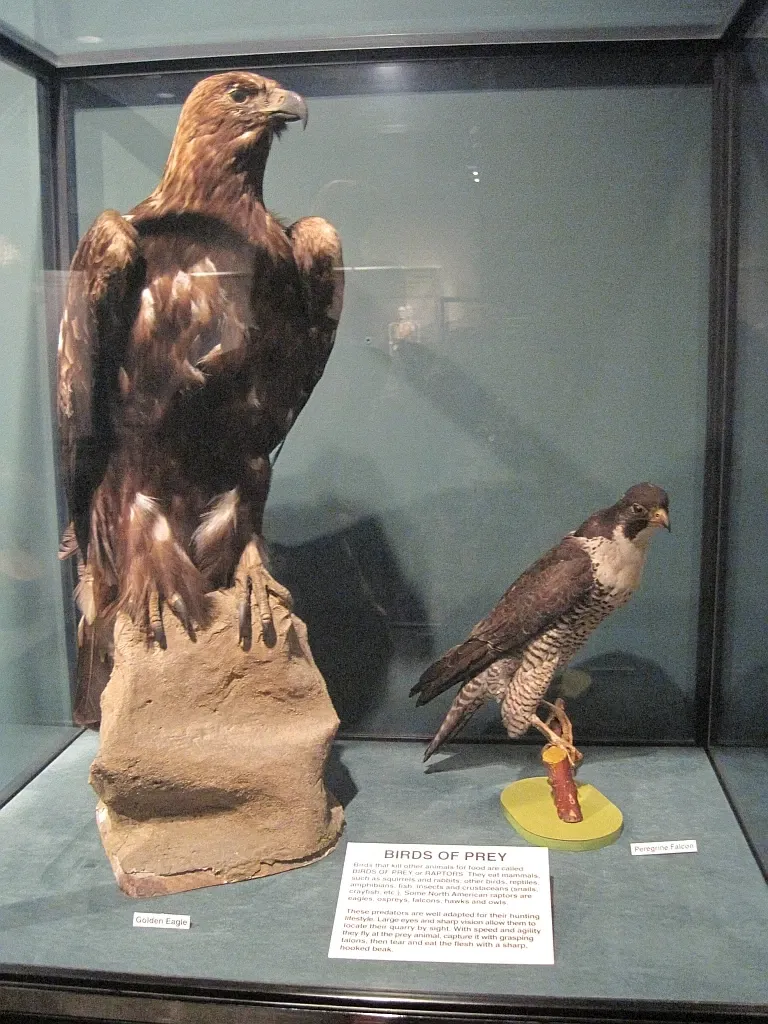 Memphis Museum of Science & History