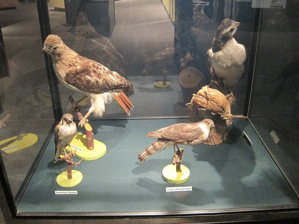 Memphis Museum of Science & History