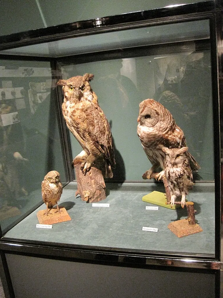 Memphis Museum of Science & History