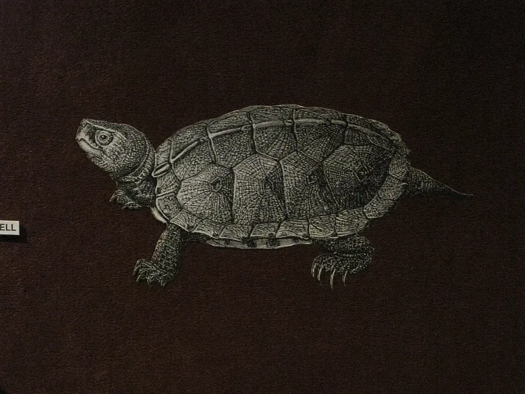 Memphis Museum of Science & History