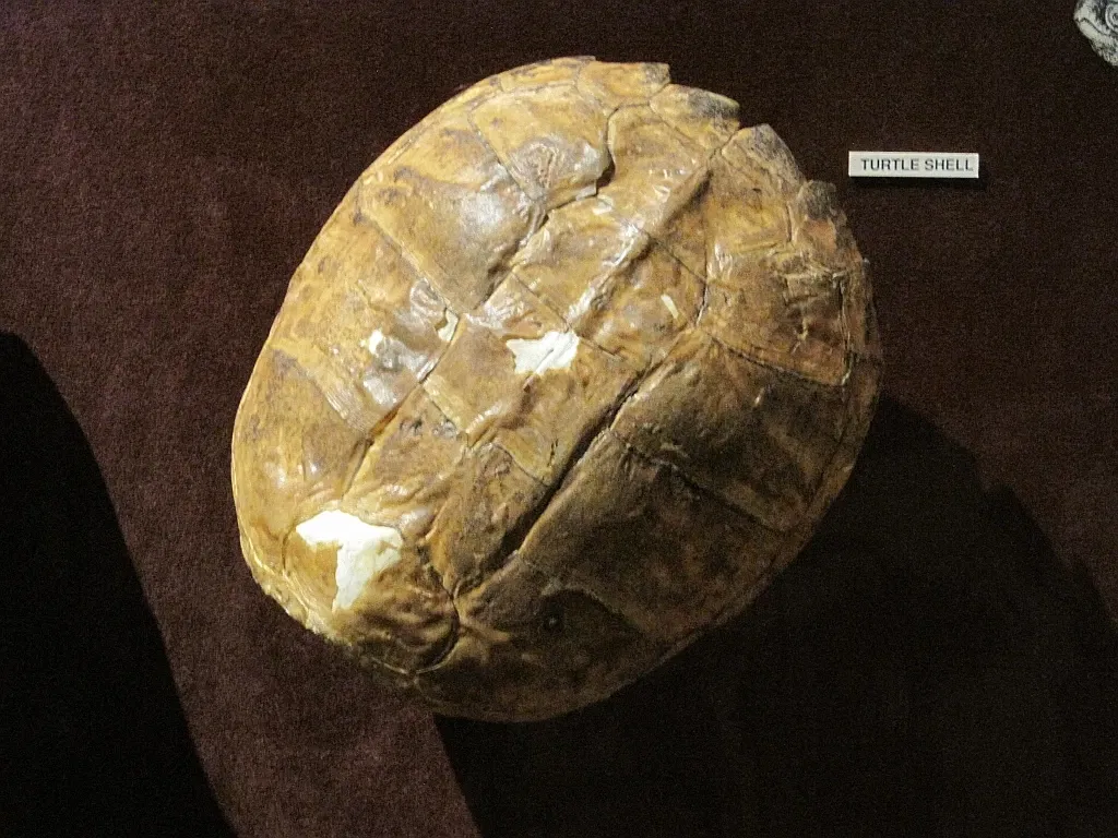 Memphis Museum of Science & History