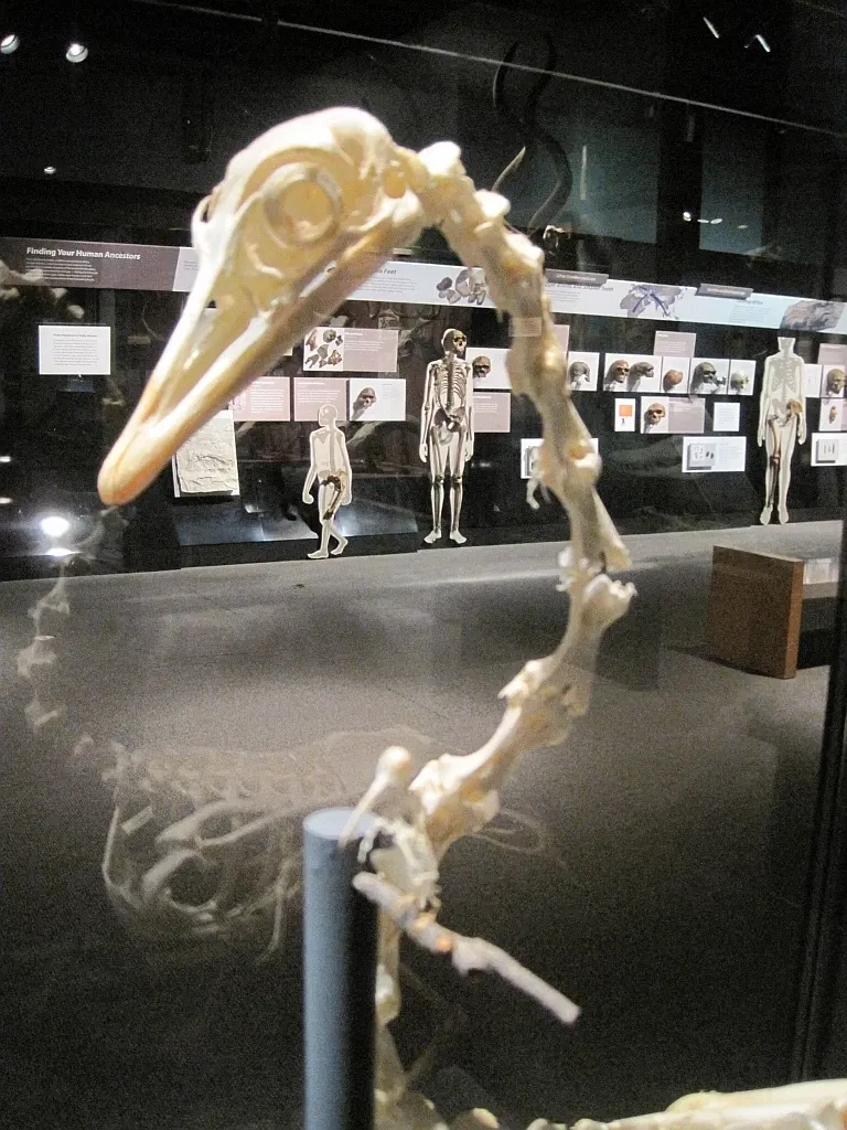 Memphis Museum of Science & History