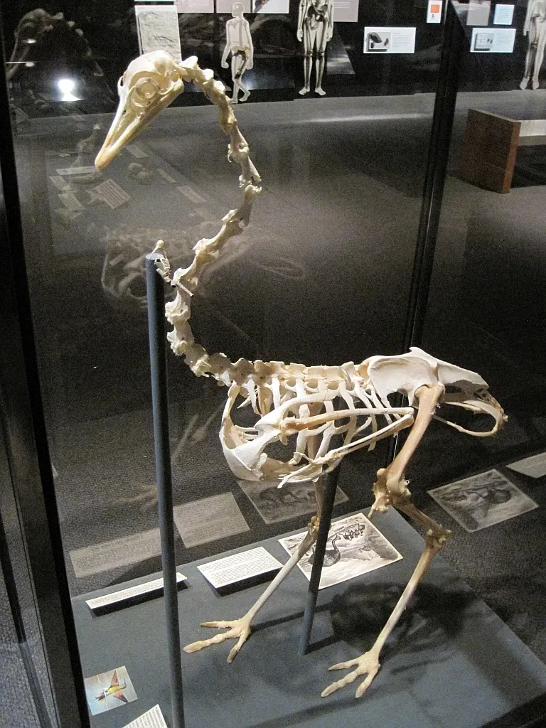 Memphis Museum of Science & History