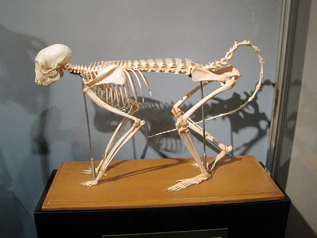 Memphis Museum of Science & History