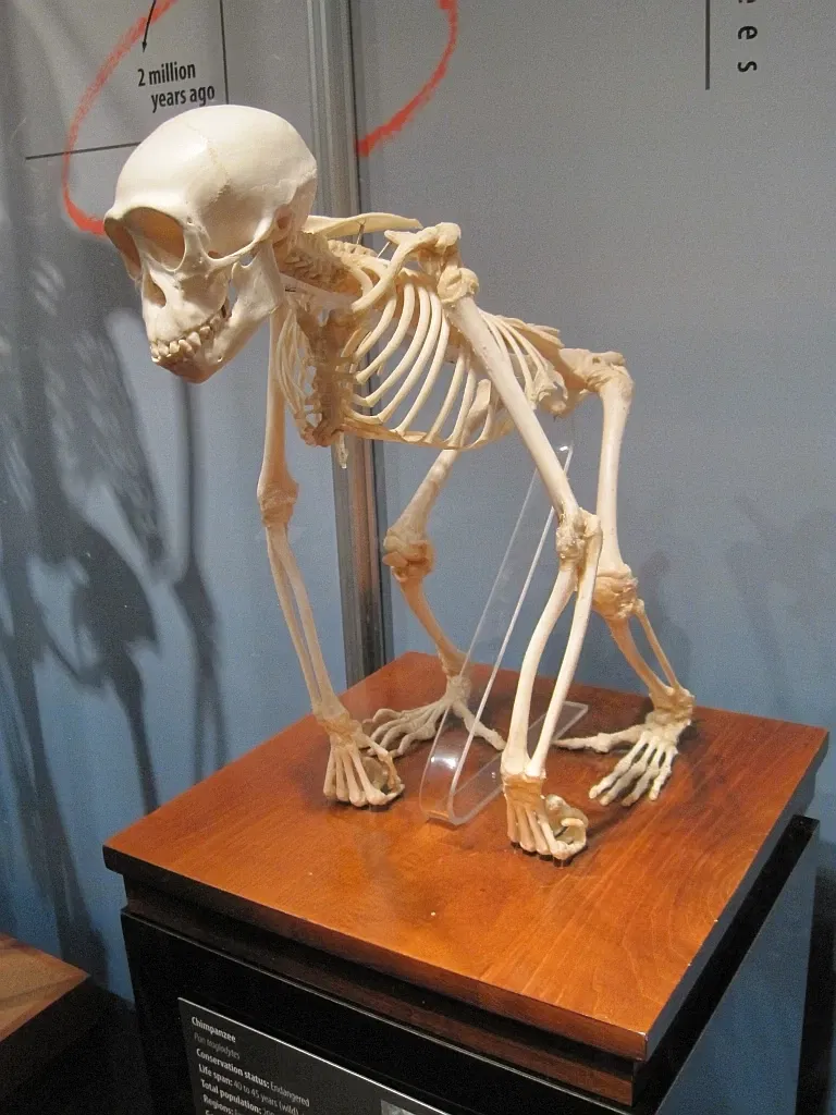 Memphis Museum of Science & History