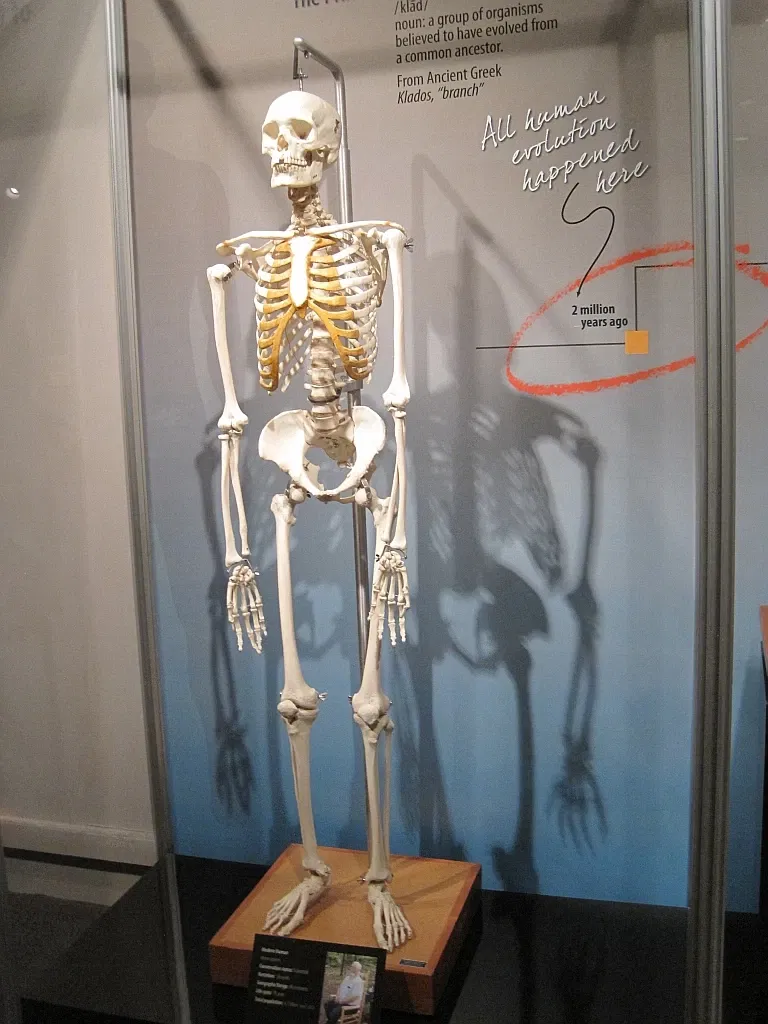 Memphis Museum of Science & History