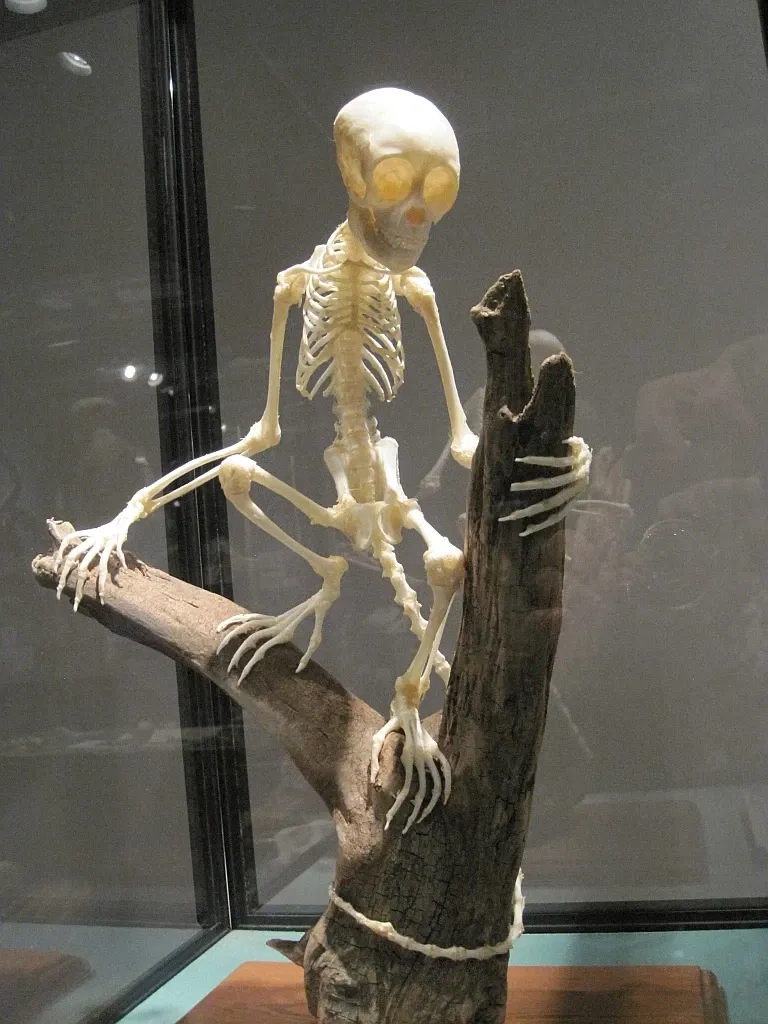 Memphis Museum of Science & History