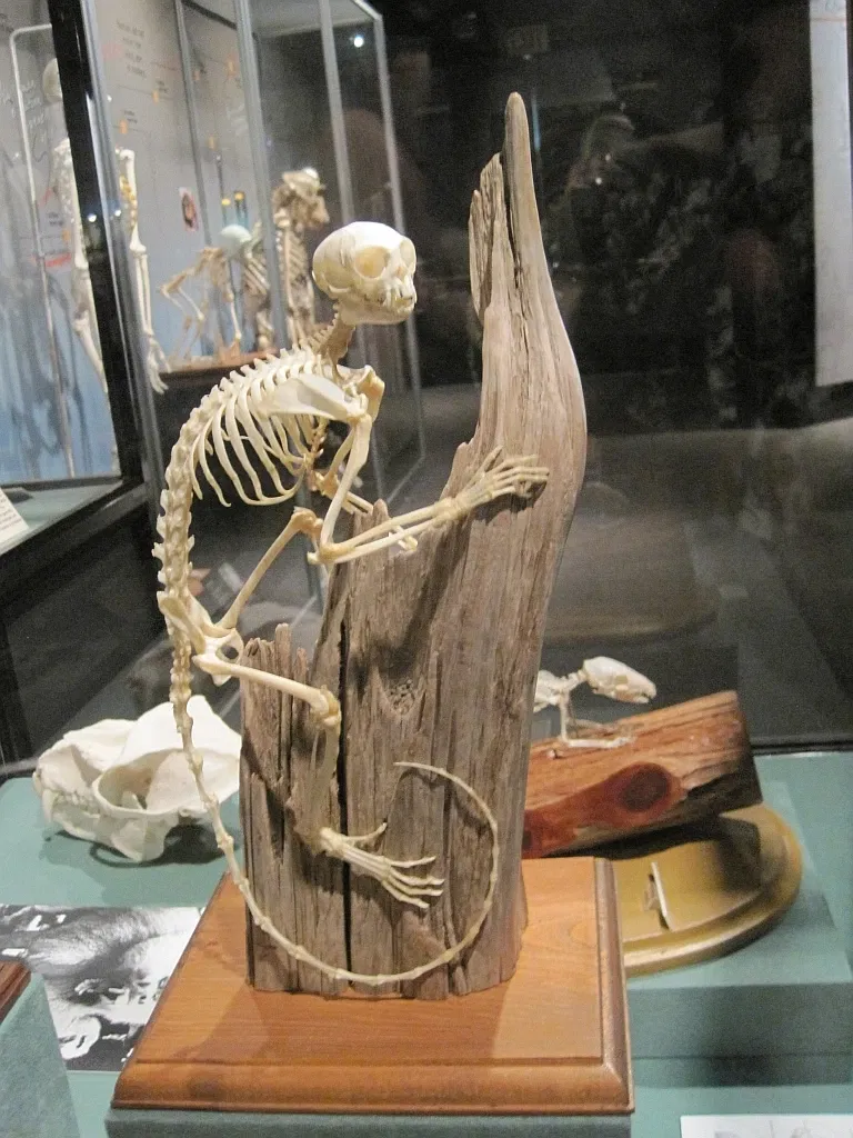 Memphis Museum of Science & History