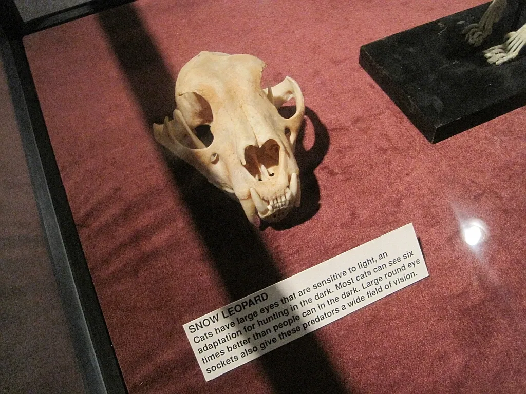 Memphis Museum of Science & History