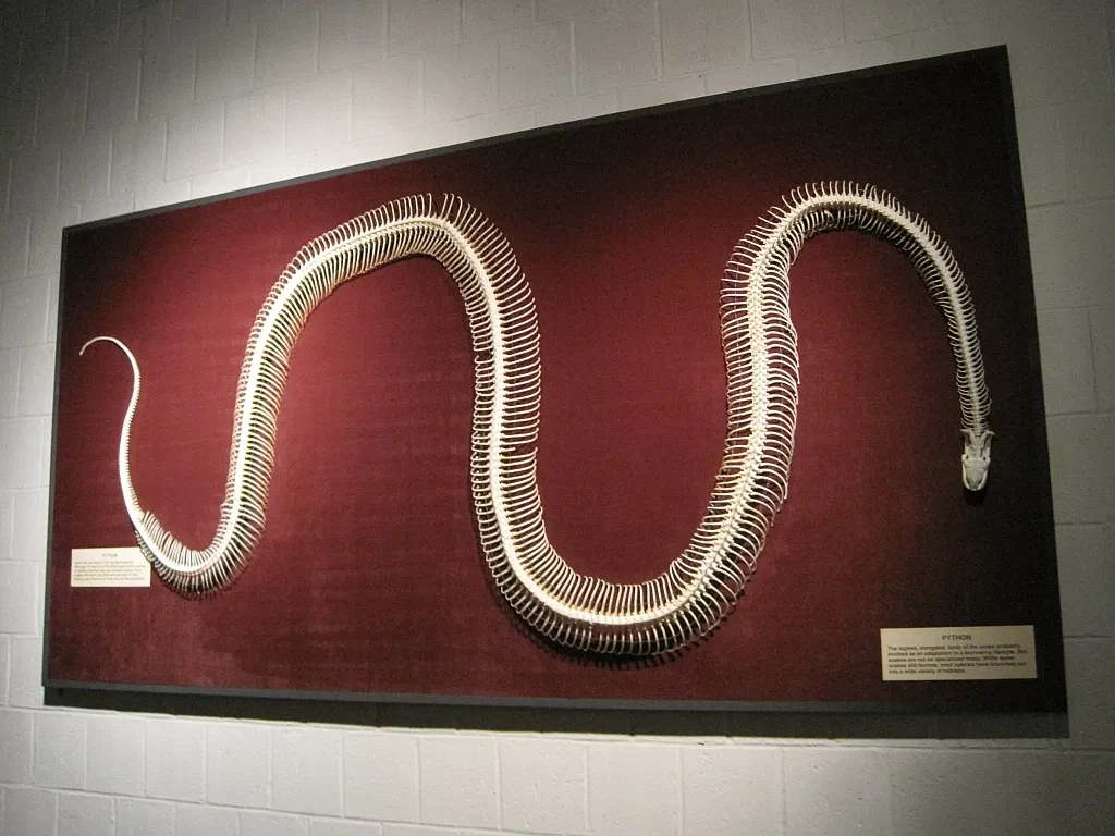 Memphis Museum of Science & History