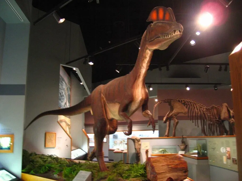 Memphis Museum of Science & History