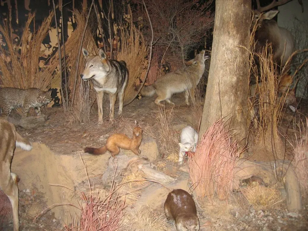 Memphis Museum of Science & History