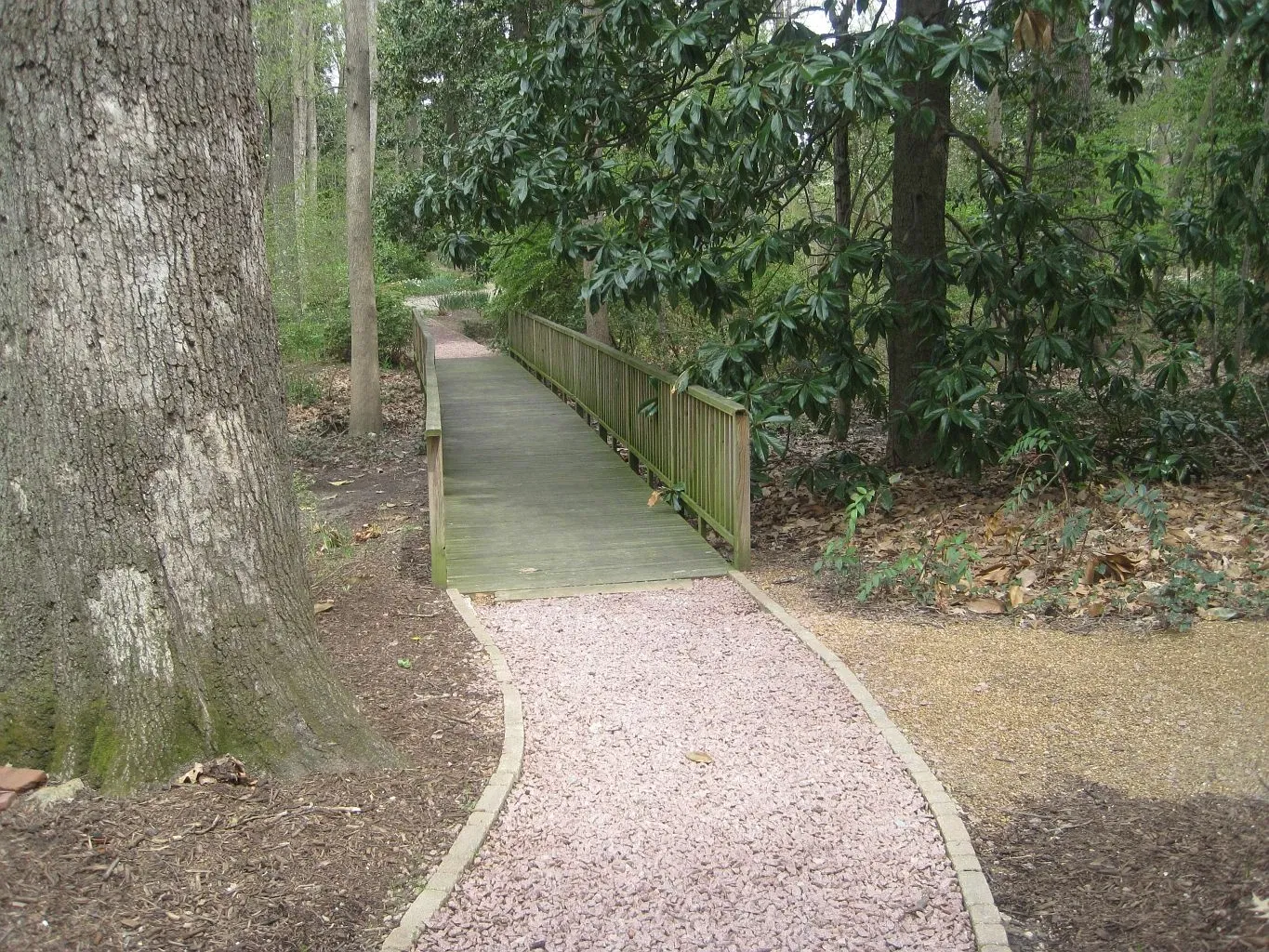 Dixon Gallery & Gardens