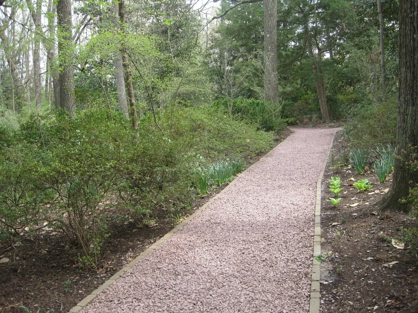 Dixon Gallery & Gardens