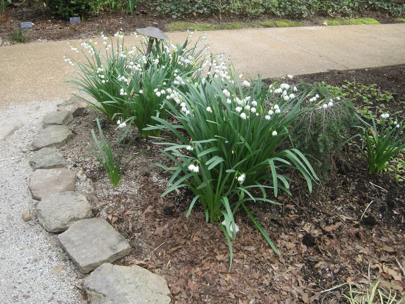 Dixon Gallery & Gardens