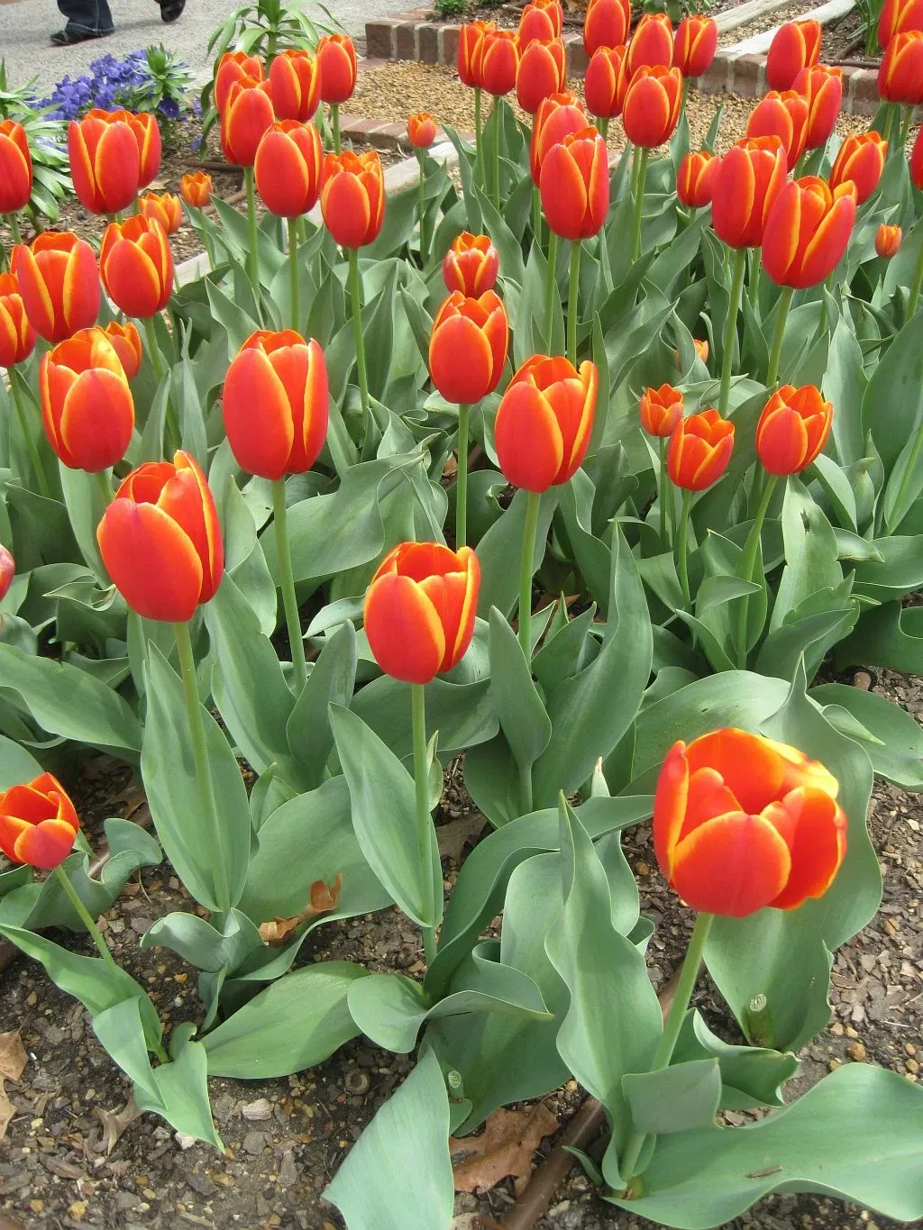 Dixon Gallery & Gardens