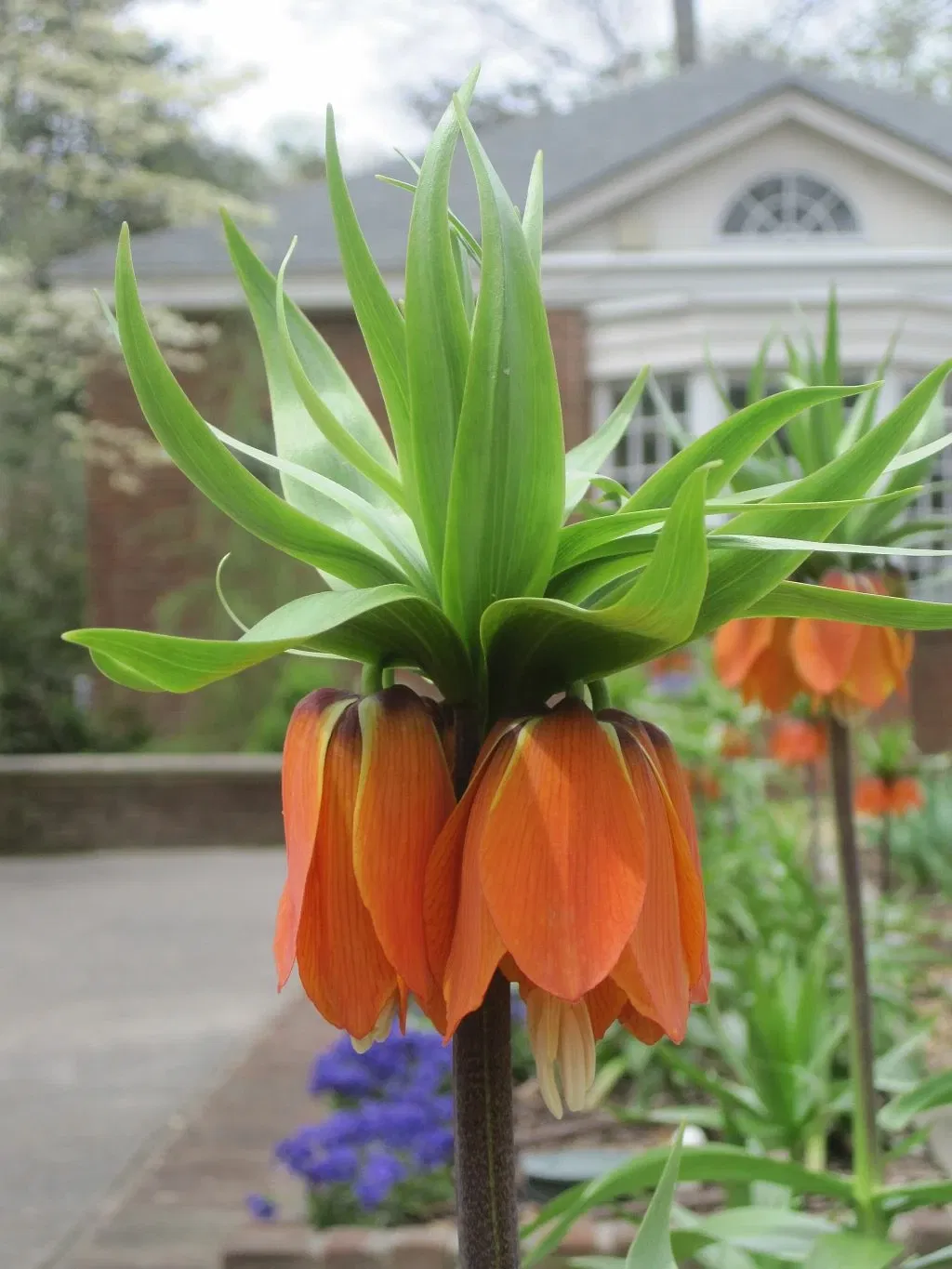 Dixon Gallery & Gardens