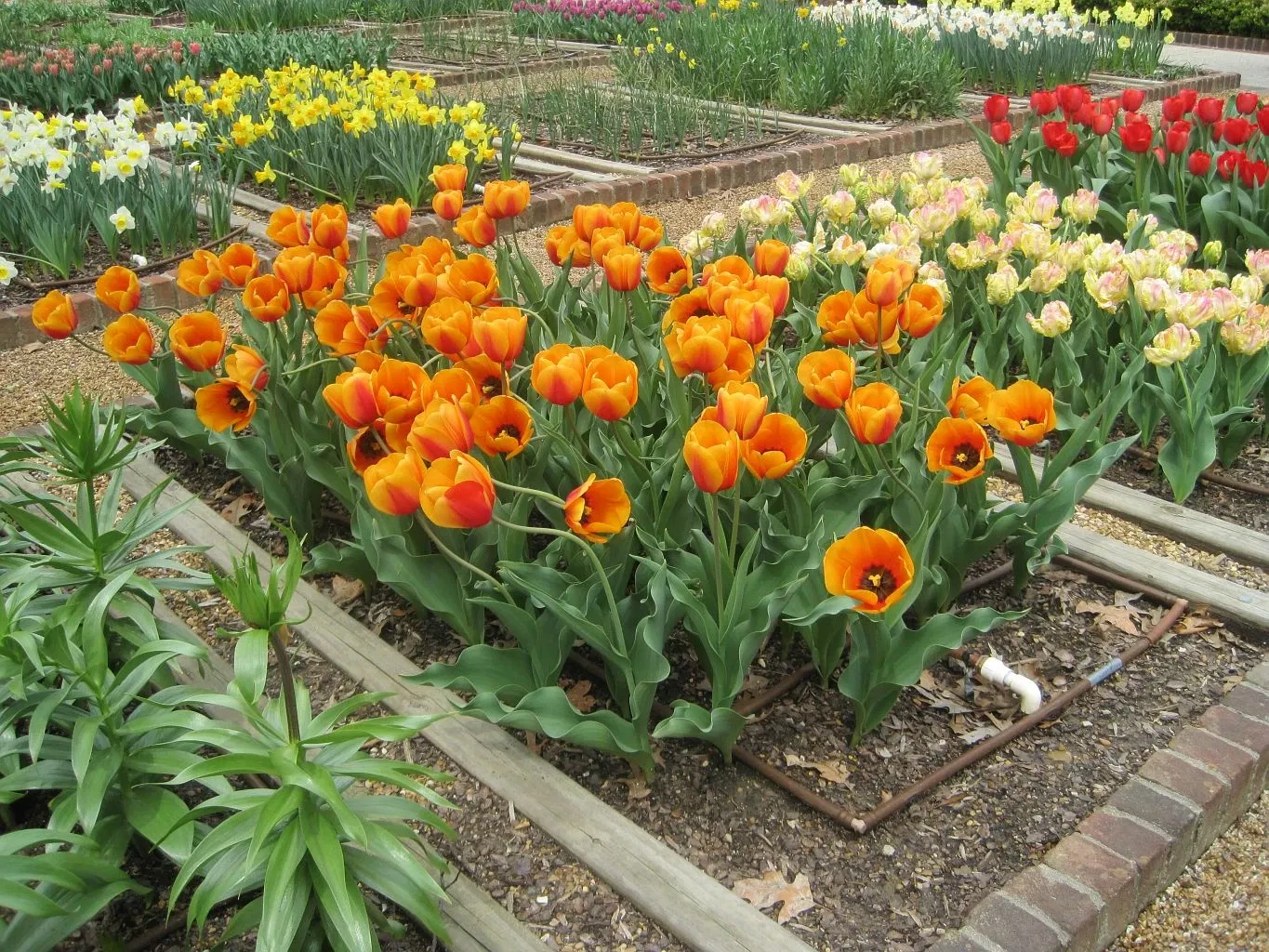 Dixon Gallery & Gardens