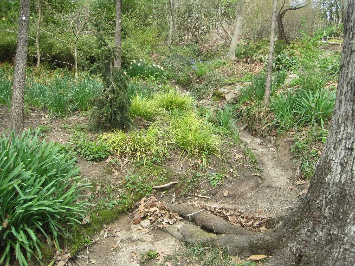 Dixon Gallery & Gardens