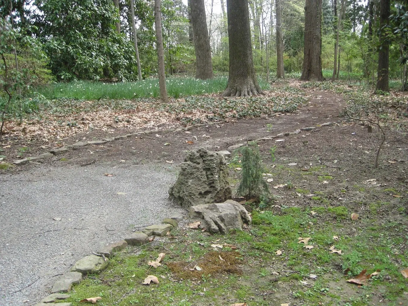 Dixon Gallery & Gardens