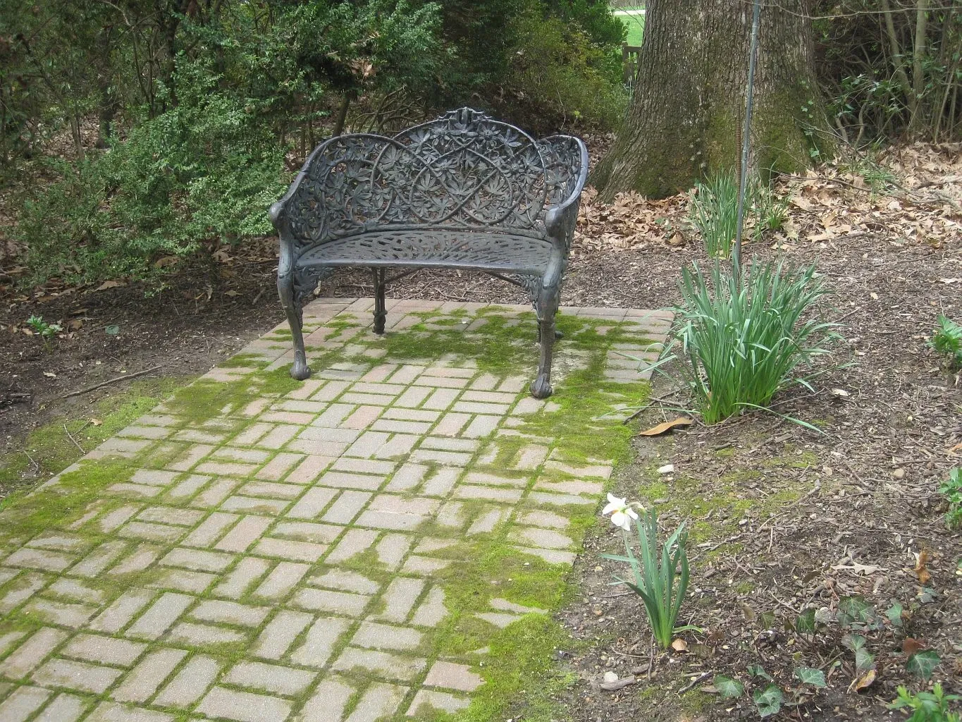 Dixon Gallery & Gardens