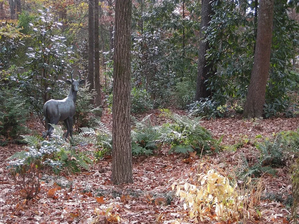 Dixon Gallery & Gardens