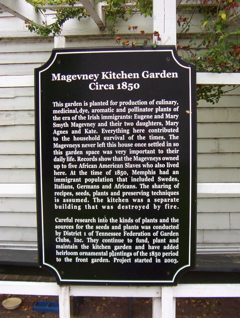 Magevney House
