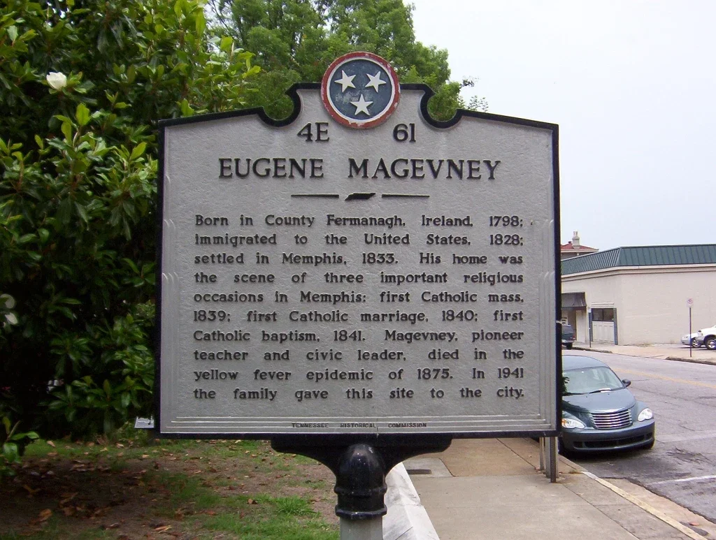 Magevney House