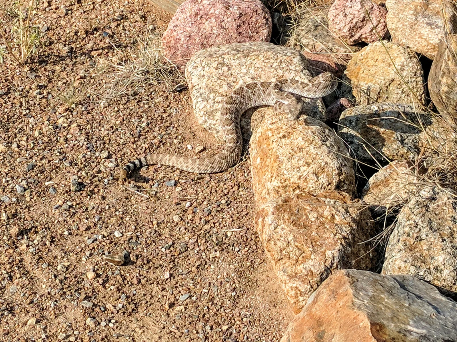 El Paso Museum of Archaeology