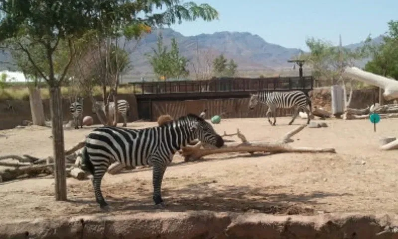 Zoológico de El Paso