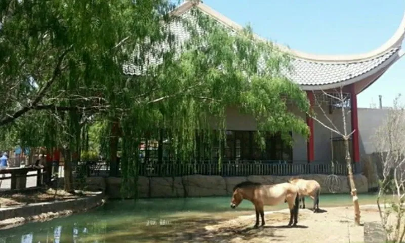 Zoológico de El Paso