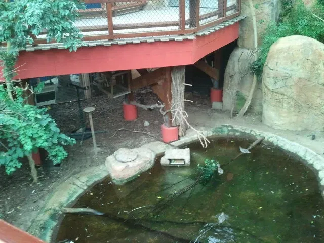 Zoológico de El Paso