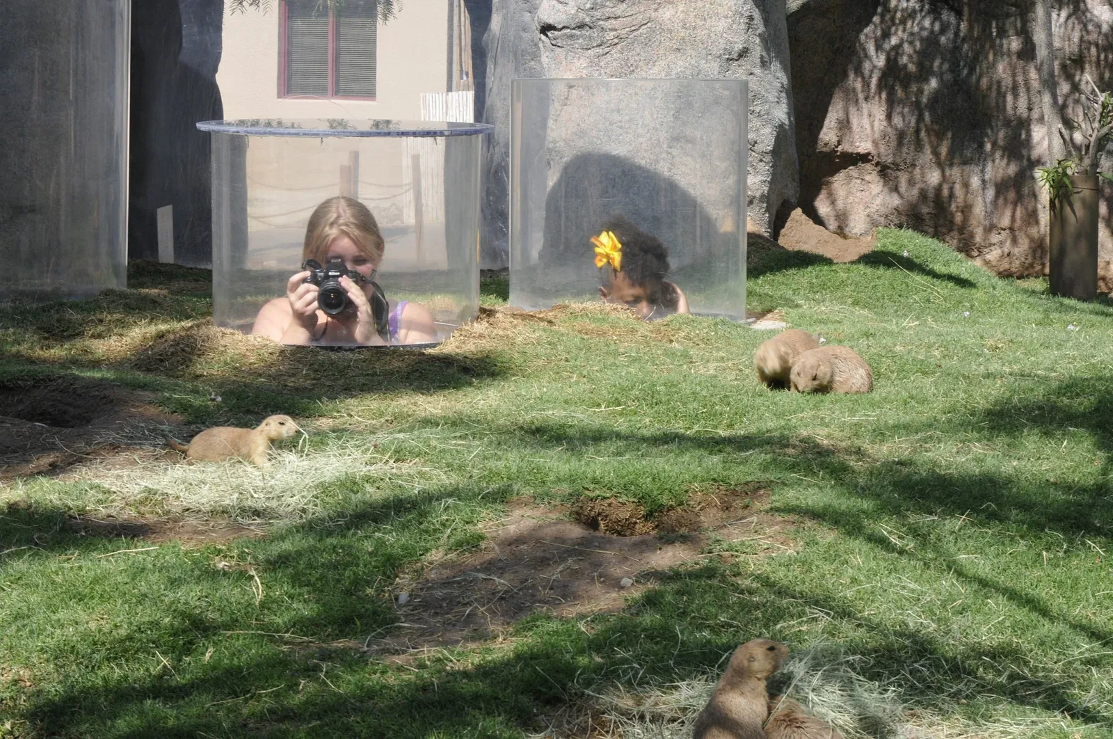 Zoológico de El Paso