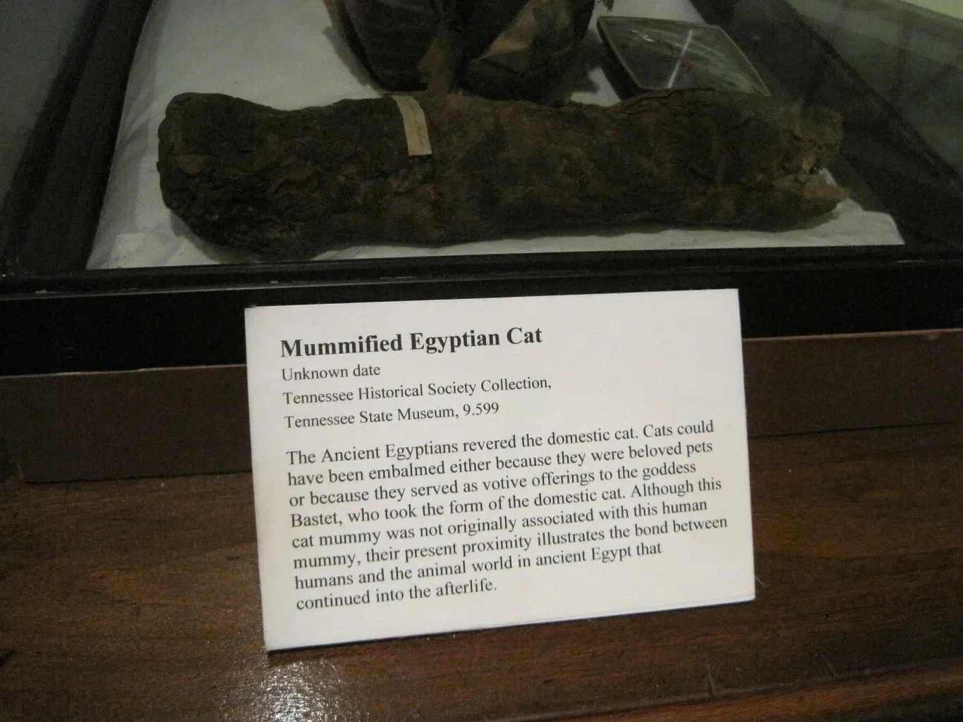 Tennessee State Museum