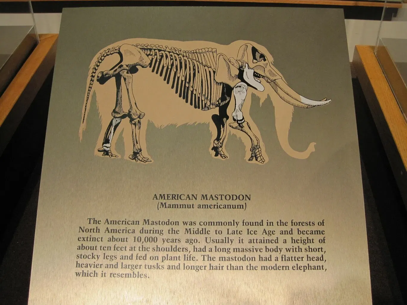 Tennessee State Museum