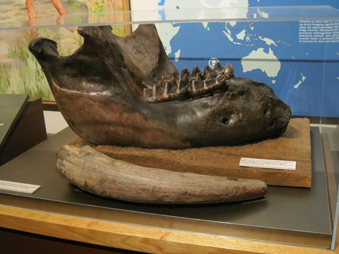 Tennessee State Museum