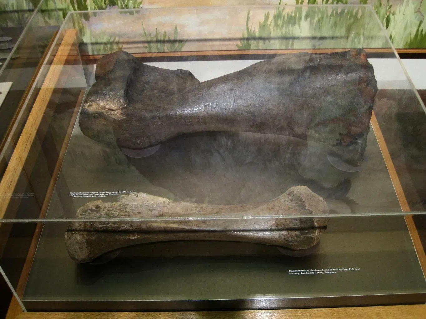 Tennessee State Museum