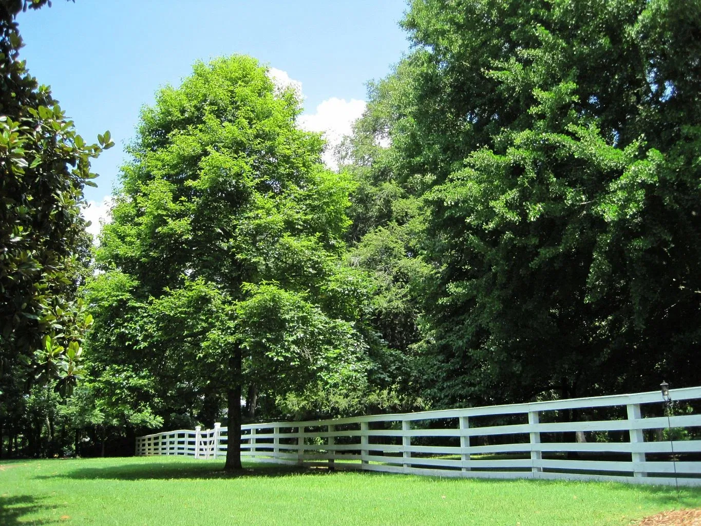 Travellers Rest Plantation & Museum