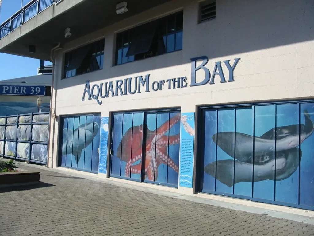 Aquarium of the Bay