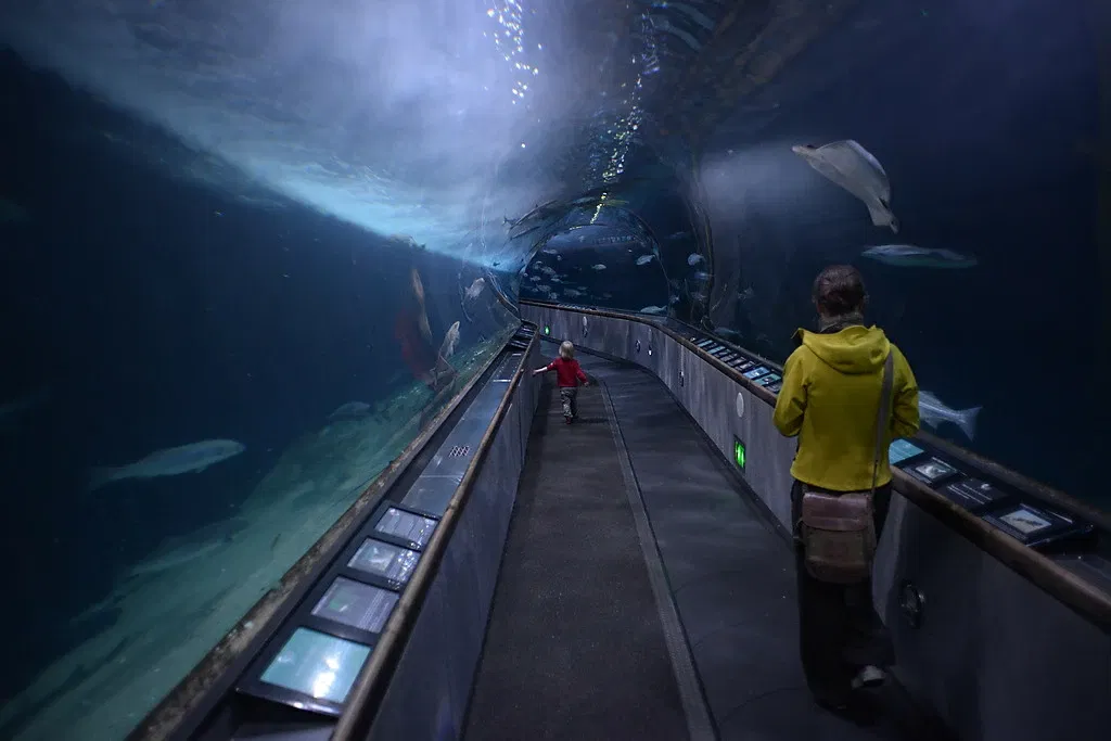 Aquarium of the Bay